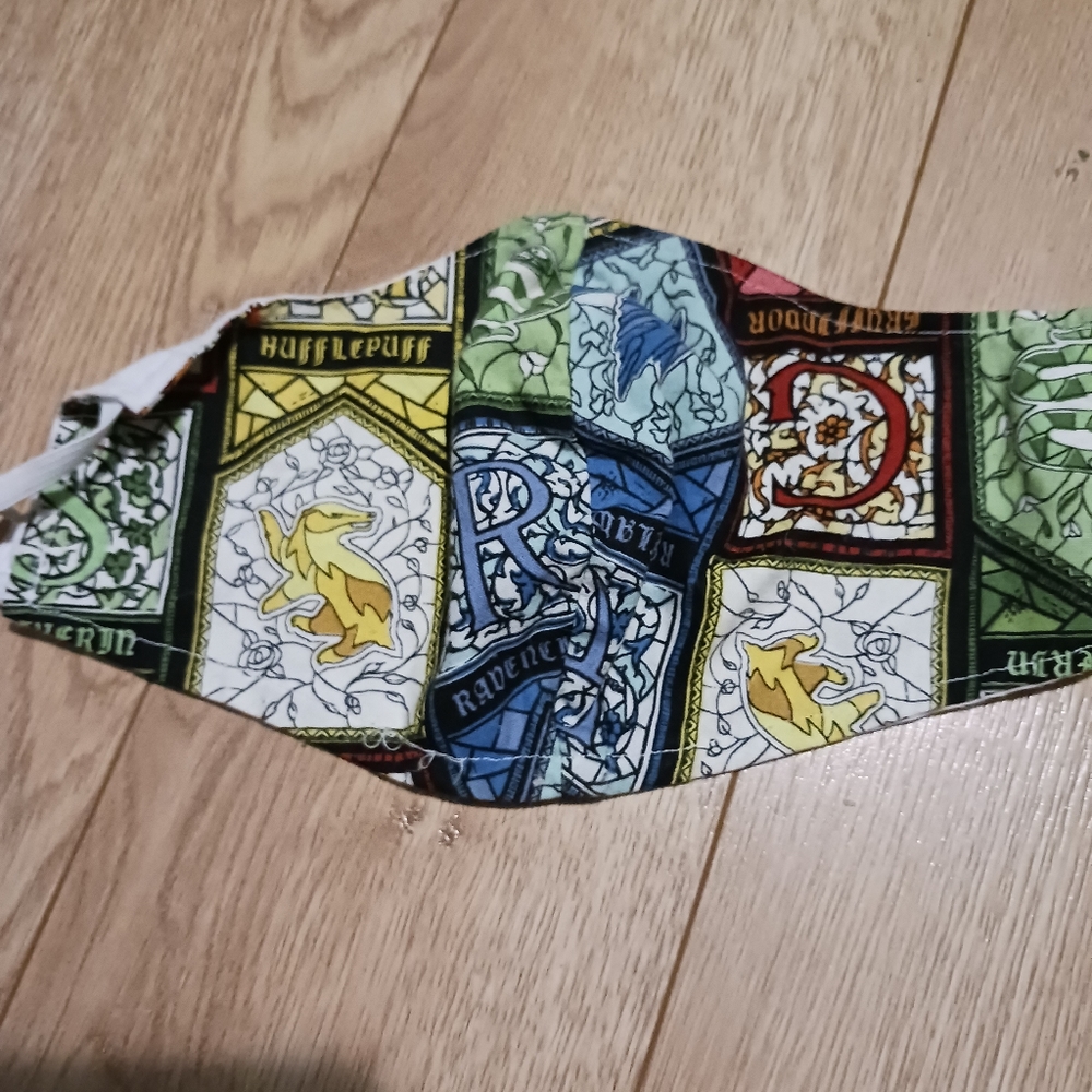 Harry Potter Custom Mask